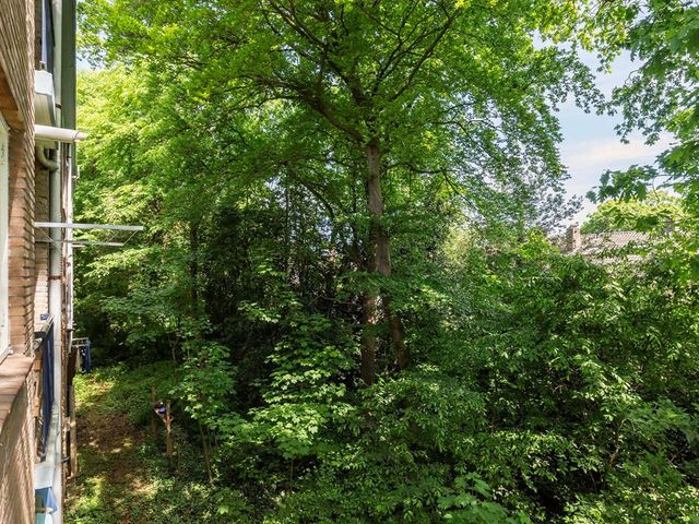 Waltersingel 6A, Apeldoorn