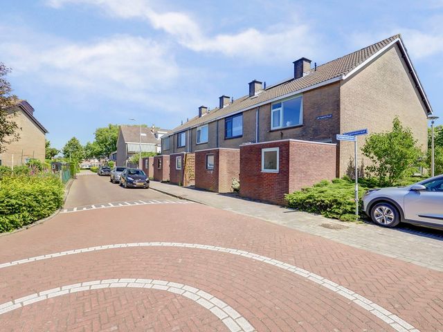 Rietgansstraat 29, Strijen