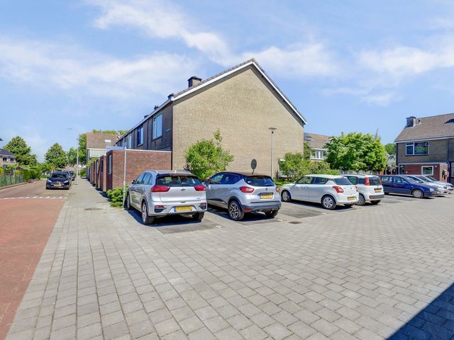 Rietgansstraat 29, Strijen