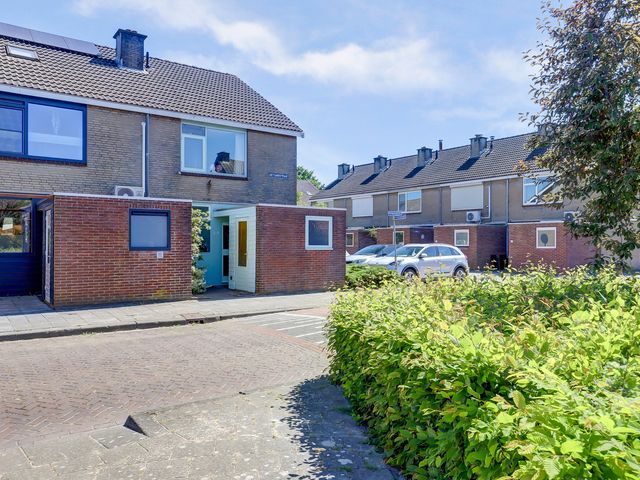 Rietgansstraat 29, Strijen
