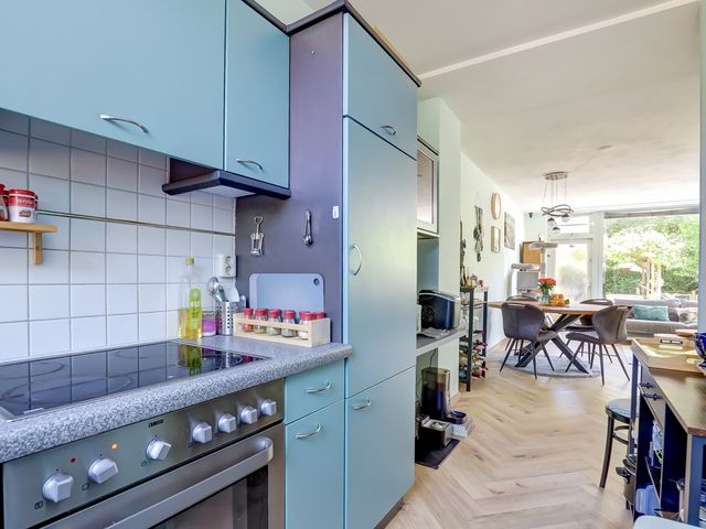 Rietgansstraat 29, Strijen
