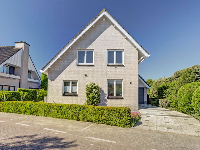 Nieuwe Haven 2, Strijen