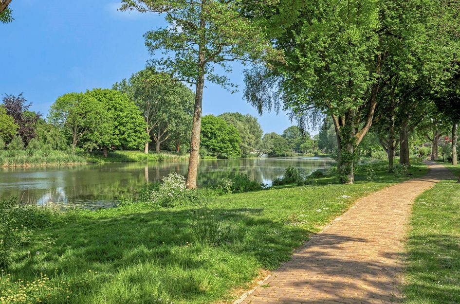 Zwaanwijk 12