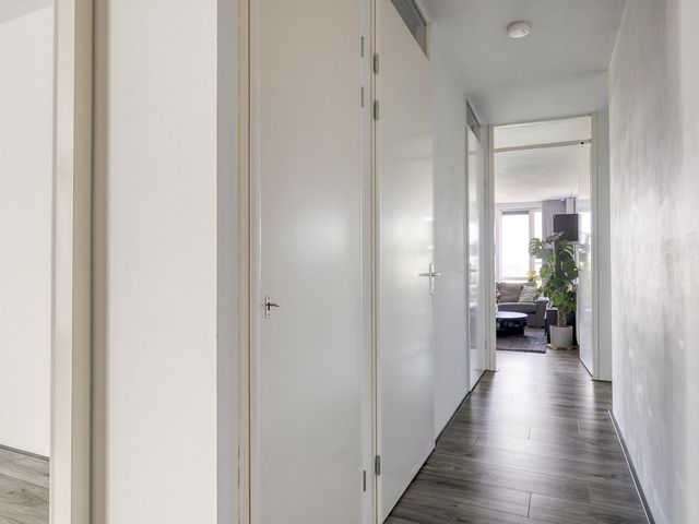 Meander 87, Noordwijkerhout