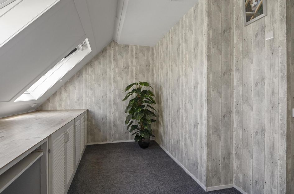 Treilerstraat 50