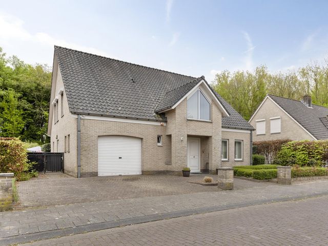 Koekoeksbloem 4, Hulst