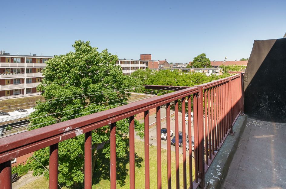 Boeierstraat 17D