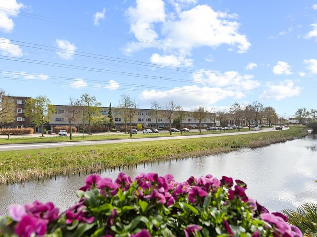 Zalm 9, Amersfoort