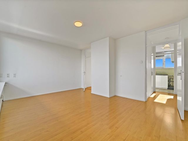 Boerhaavestraat 349, Vlaardingen