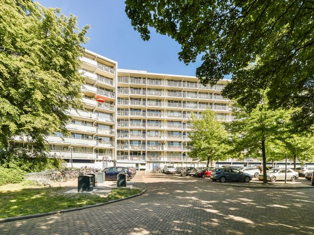 Condorhorst 38, Leiden