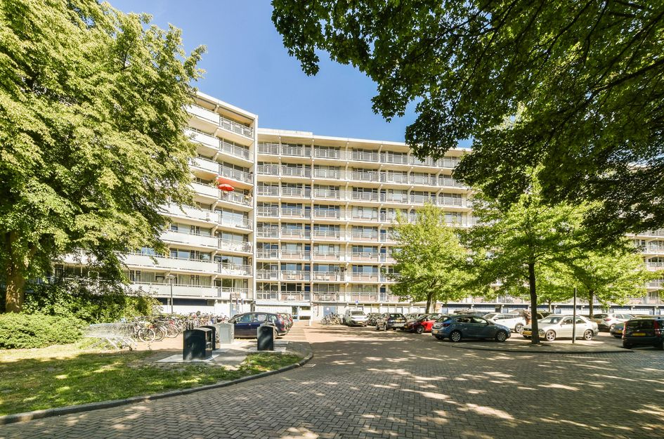 Condorhorst 38