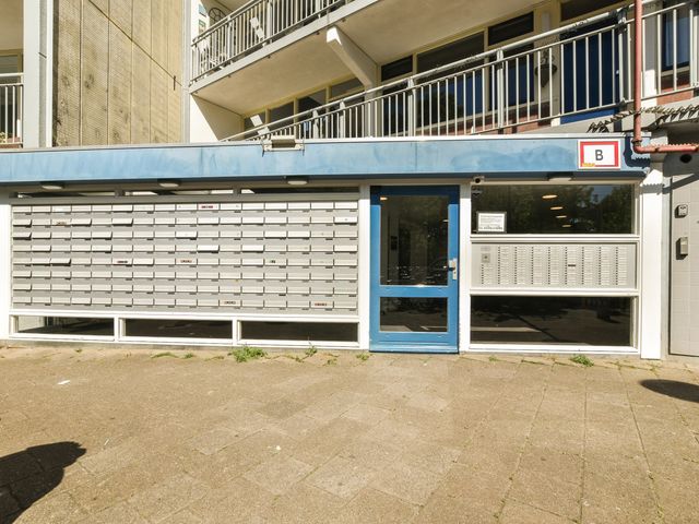 Condorhorst 38, Leiden