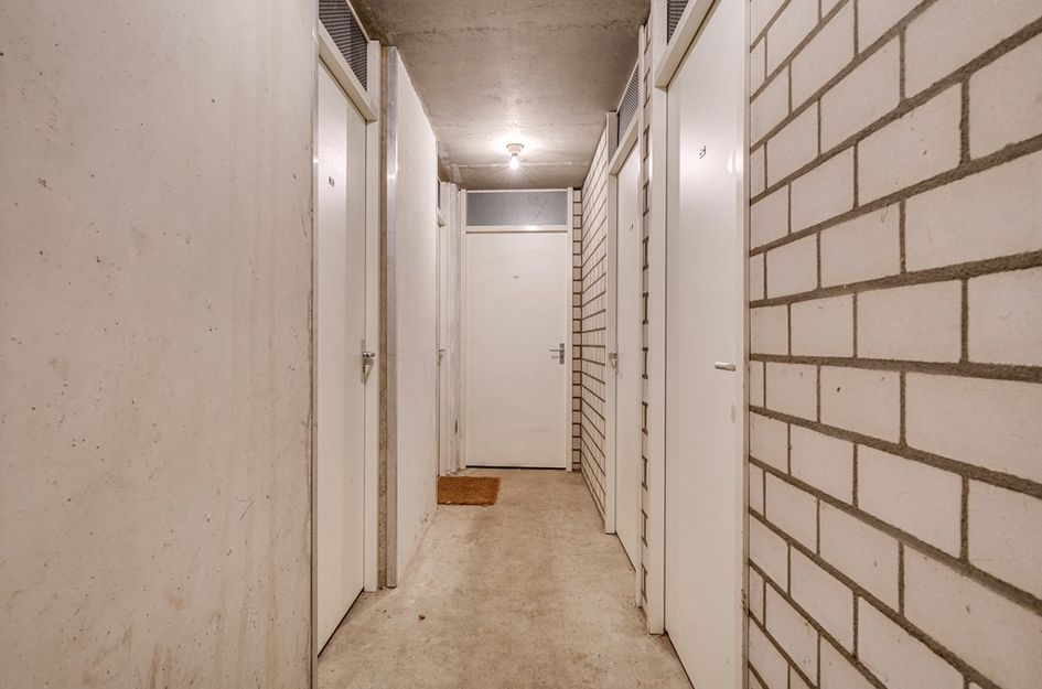 Vlaemsche Hoeve 242