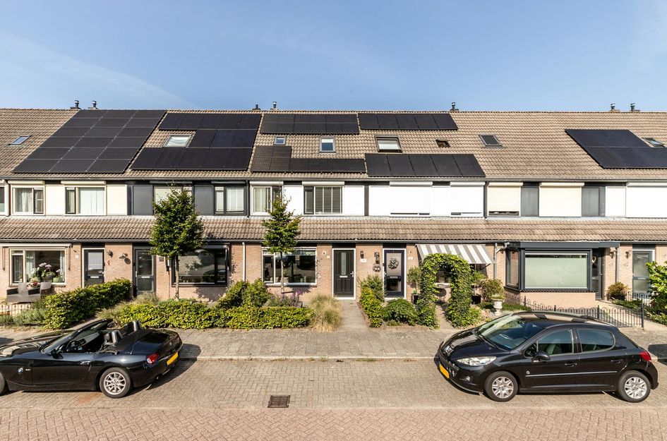 Scholekster 57