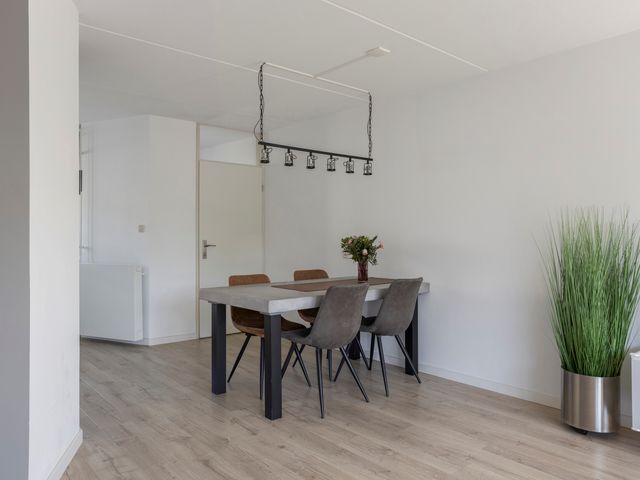 Panneman 14, Steenbergen
