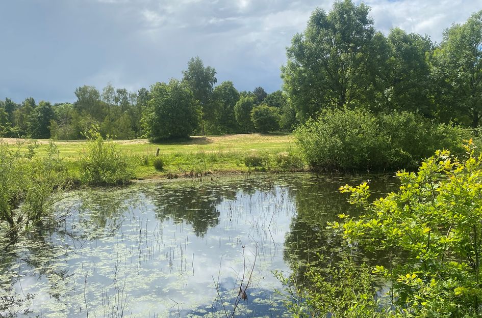 Zevenbergjesweg 1 38