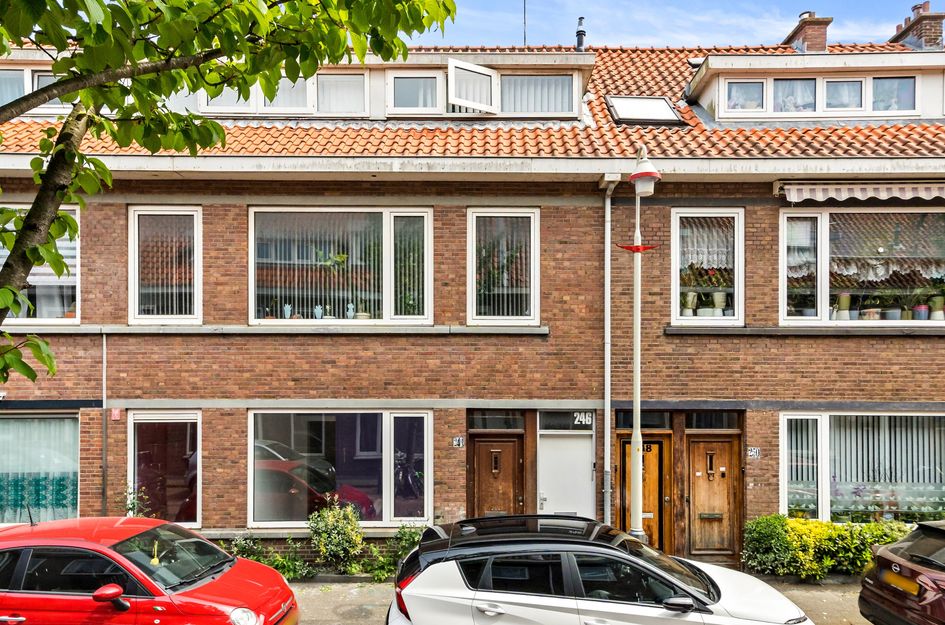 Camera Obscurastraat 244