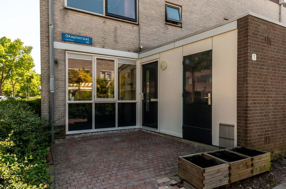 Okapistraat 1