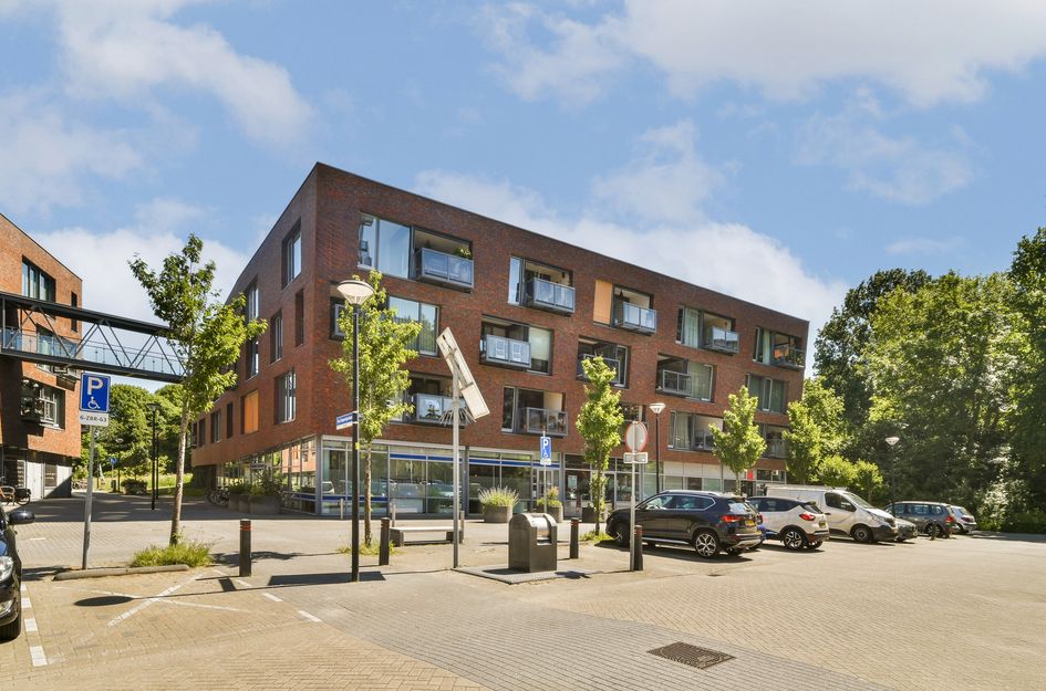 Van Diepeningenlaan 38