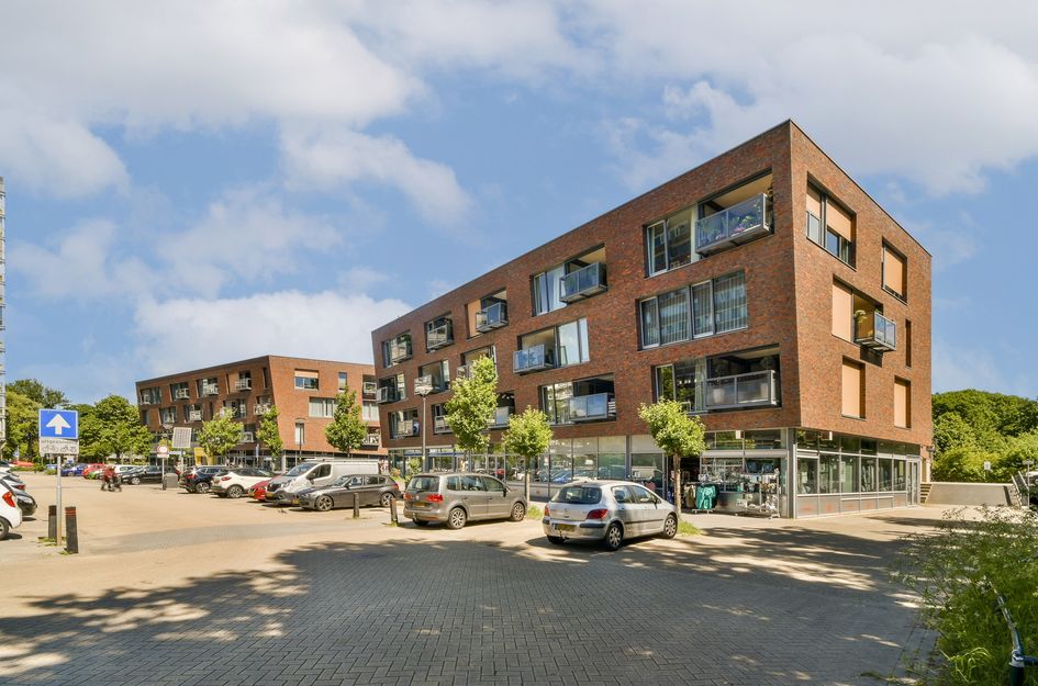 Van Diepeningenlaan 38