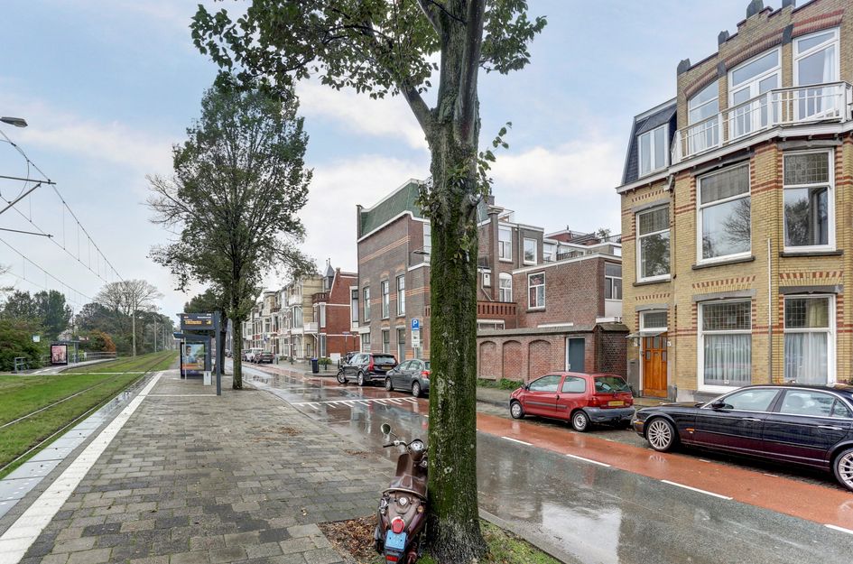 Van Boetzelaerlaan 65A