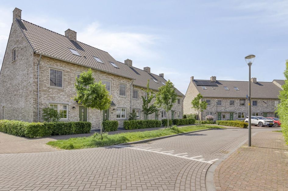 Graan voor Visch 55