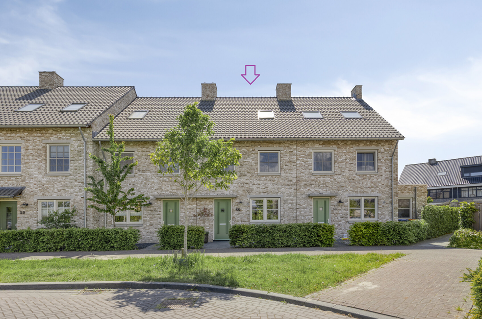 Graan voor Visch 55