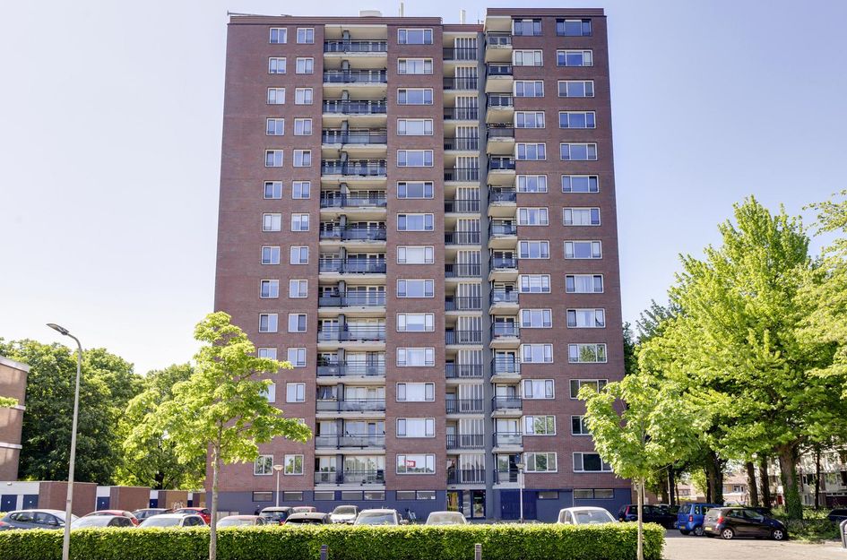 Jekerstraat 242