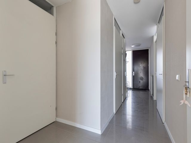 Dedemsvaartweg 558, Den Haag