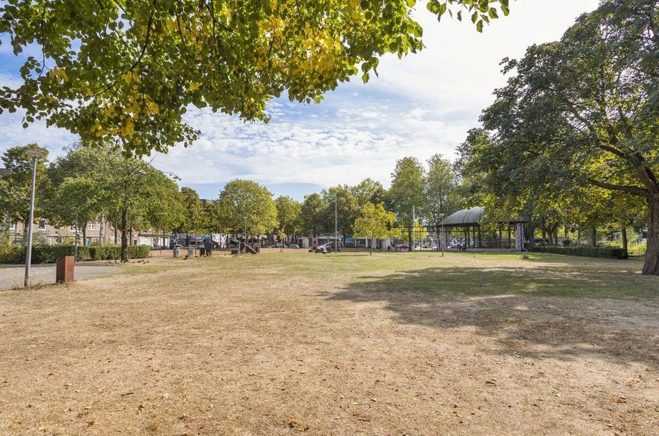 Schiedamseweg 121A01A