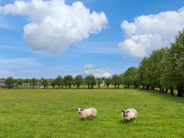 Schoolweg 44, Overberg