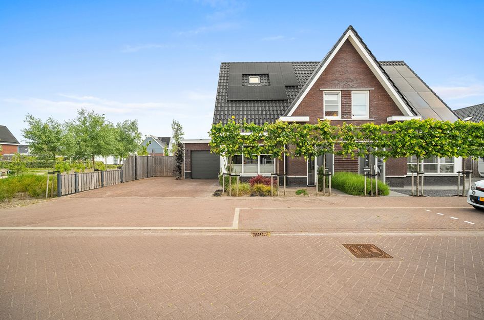 Draadzegge 56