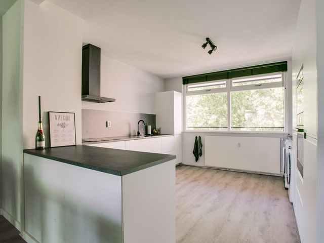 Dunantstraat 568, Zoetermeer