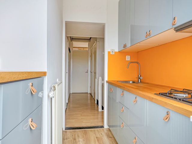 Pluvierstraat 475, Den Haag