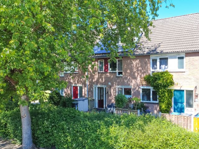 Pauwoog 11, Hellevoetsluis