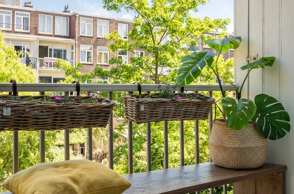Lumeijstraat 50 2
