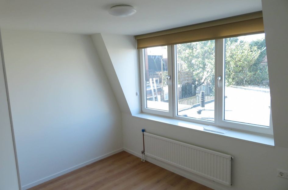 Molenstraat 166