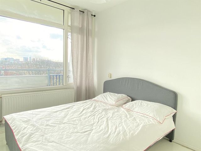 Kikkenstein 3636, Amsterdam
