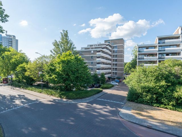 Molenzicht 6, Leiden