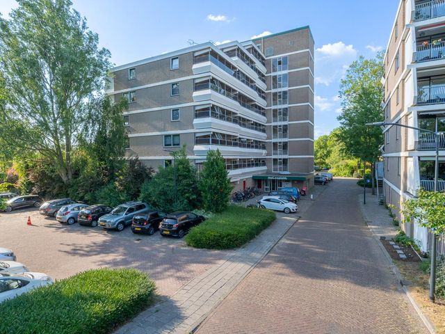Molenzicht 6, Leiden