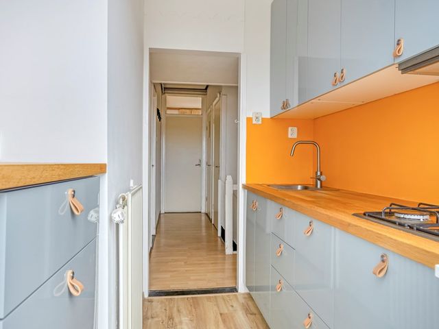 Pluvierstraat 475, Den Haag