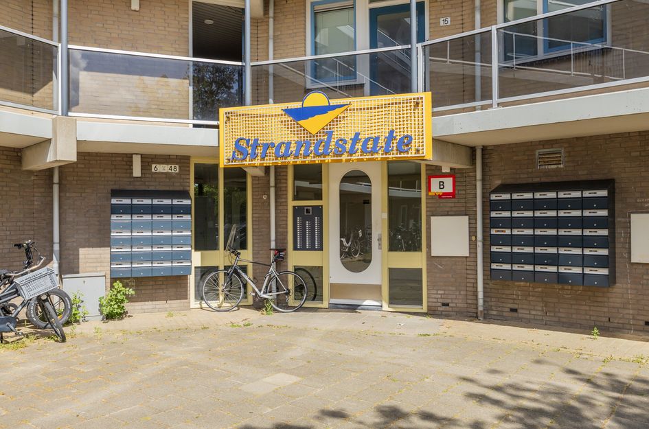 Zandbank 38