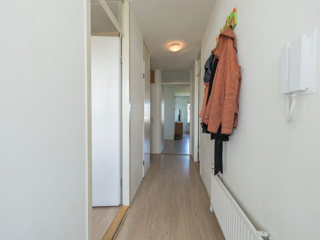 Zandbank 38, Noordwijk