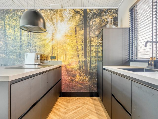 Oosterdiep WZ 115, Emmer-Compascuum