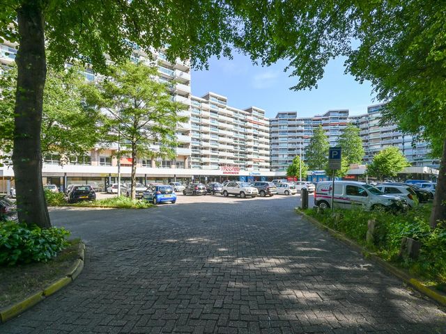 Forellendaal 118, 'S-Gravenhage