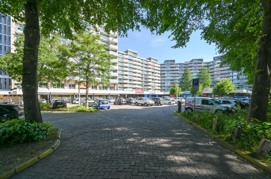 Forellendaal 118