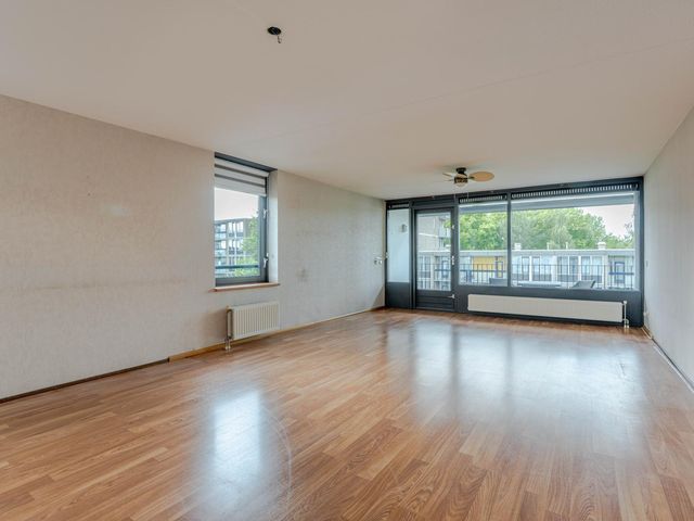 Plein 1953 244, Rotterdam