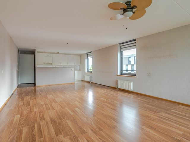 Plein 1953 244, Rotterdam