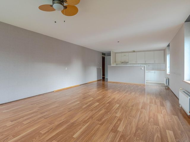 Plein 1953 244, Rotterdam