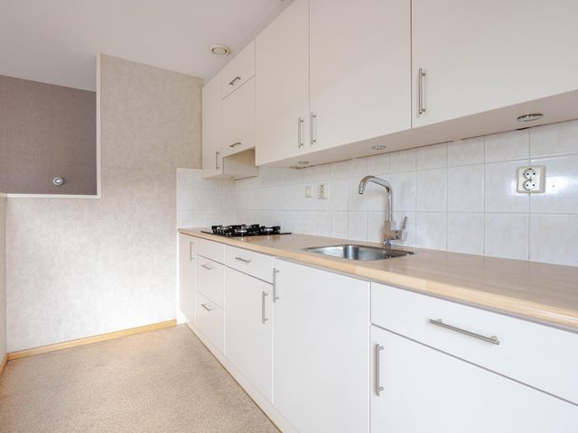 Plein 1953 244, Rotterdam